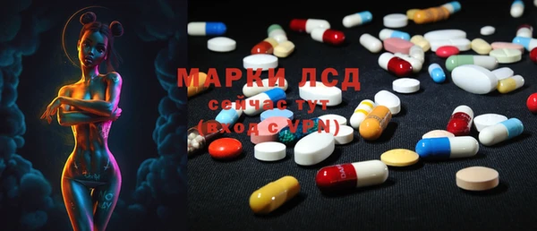 ECSTASY Ладушкин