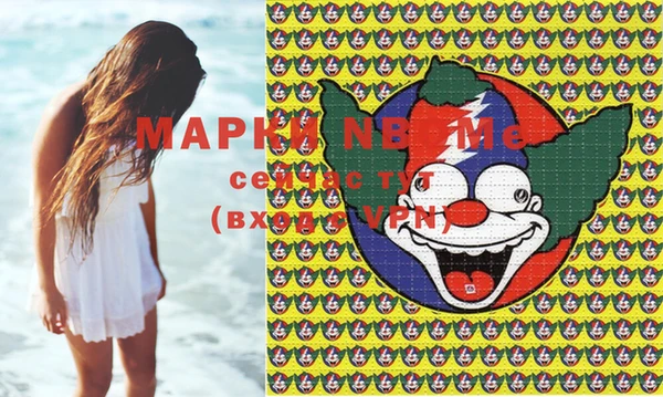 ECSTASY Ладушкин