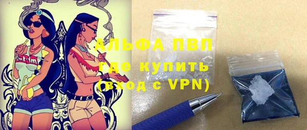 ECSTASY Ладушкин