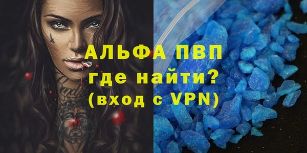 ECSTASY Ладушкин