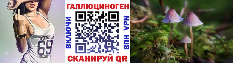 Купить  Анапа  Галлюциногенные грибы Cubensis 